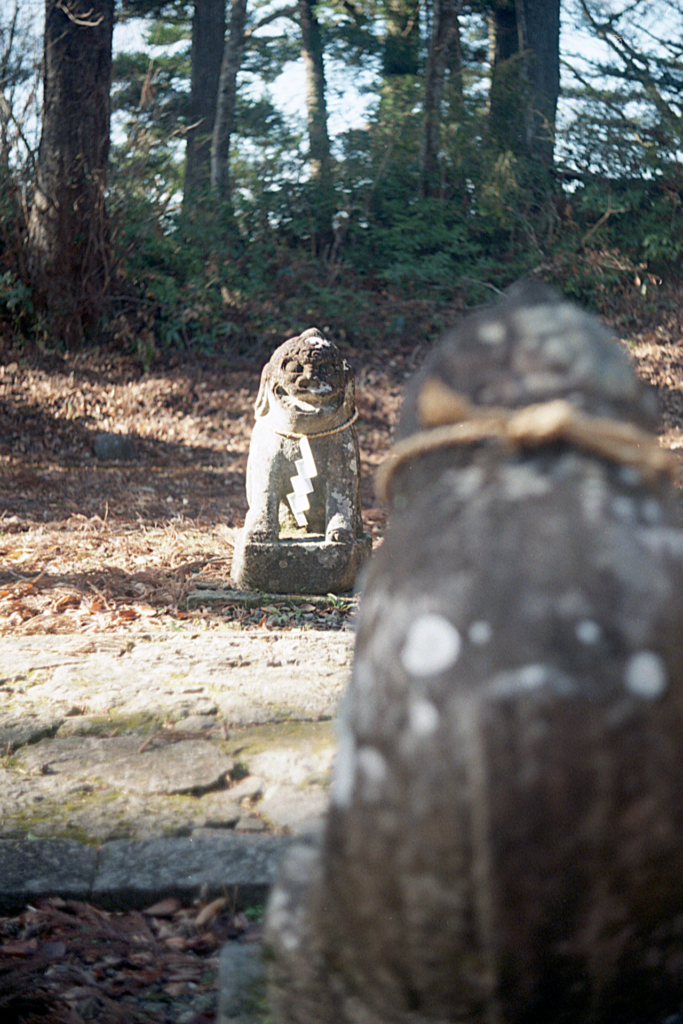 森に囲まれた神社の狛犬