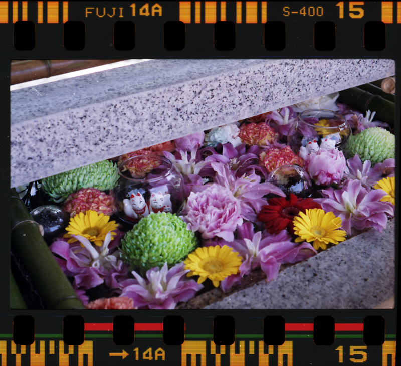 竹駒神社の花手水